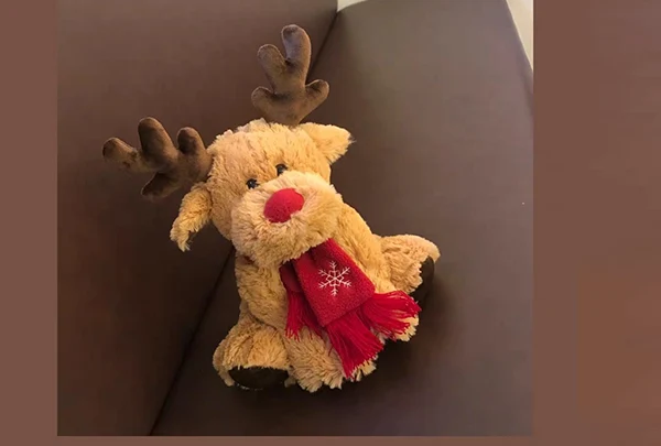 Údržba plyšových hraček