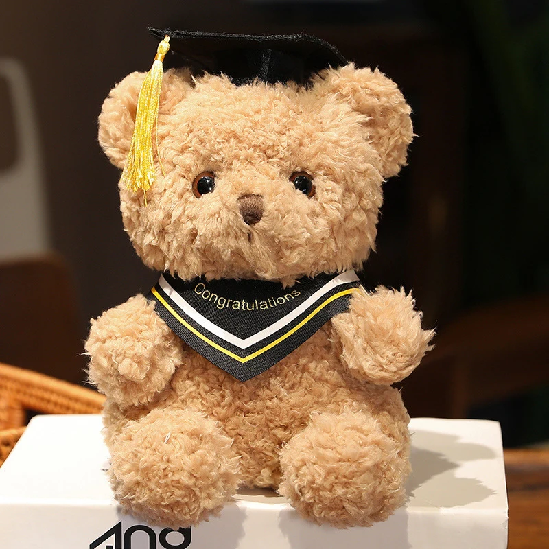 Promoce Teddy Bear